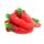Töltött chili paprika (100g)